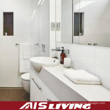 Europa-Art-einteilige Badezimmer-Kabinett-Eitelkeit (AIS-B002)